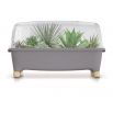 Domowy ogród z drewnianym akcentem z pokrywą - Szklarenka domowa Respana Planter - 77 cm - kamienny szary