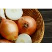 Cebula Bila - późna, do długiego przechowywania
