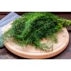 Koper ogrodowy Kozak - bardzo aromatyczny