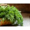 Koper ogrodowy Moravan - 100 gram