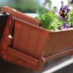 Zestaw balkonowy Agro - Terakota - 50 cm