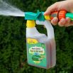 Nawóz dolistny do thui, żywotników - gotowa do użycia konewka - Zielony Dom - 950 ml