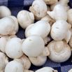Pieczarka biała do uprawy w domu i ogrodzie - 10 kg