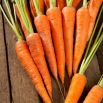 Marchew Rubrovitamina - średniowczesna, typ karotka, szczególnie polecana na soki