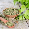 Seler listkowy Green cutting - na susz