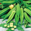Okra, Ketmia jadalna Clemson Spineless