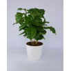 Doniczka Coubi Duo śr. 15 cm - Biała