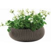 Doniczka niska Cozies - misa - śr. 54 cm - ciemnobrązowa