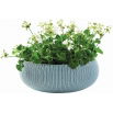 Doniczka niska Cozies - misa - śr. 54 cm - niebieska