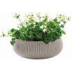 Doniczka niska Cozies - misa - śr. 54 cm - piaskowa
