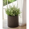 Doniczka okrągła średnia - śr. 36 cm - Cylinder Planter - brązowa
