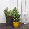 Doniczka okrągła średnia - śr. 36 cm - Cylinder Planter - brązowa