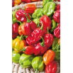Papryka Habanero - piekielnie ostra