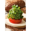 Microgreens - Jarmuż zielony - młode listki o unikalnym smaku