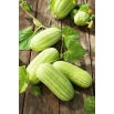 Ogórek melonowy Carosello Barese