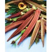 Okra, Ketmia jadalna Burgundy