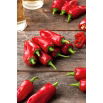 Papryka Jalapeno - bardzo ostra, czerwona