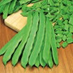 Fasola Dakota - szparagowa zielona