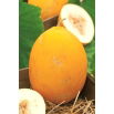 Melon Jaune Canari 2