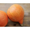 Dynia olbrzymia Uchiki Kuri (Hokkaido) - doskonała na przetwory dla dzieci - 100 g