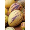 Pepino