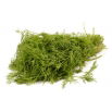 Koper ogrodowy Szmaragd - 500 g