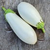 Oberżyna, Bakłażan White Egg