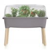 Domowy ogród na drewnianych nóżkach z pokrywą - Szklarenka domowa Respana Planter - 77 cm - kamienny szary