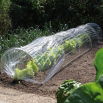 Tunel foliowy + siatka przeciw insektom - 2 w 1