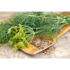 Koper ogrodowy Moravan - 100 gram