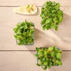 Microgreens - Słonecznik - młode listki o unikalnym smaku - 1 kg