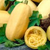 Dynia makaronowa Vegetable Spaghetti
