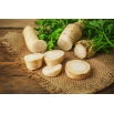 Pietruszka Alba - korzeniowa - 50 gram - nasiona profesjonalne dla każdego