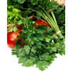 Pietruszka naciowa Nutka - gładka, bardzo aromatyczna, 2-3 zbiory w roku