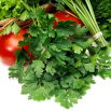 Pietruszka naciowa Nutka - gładka, bardzo aromatyczna, 2-3 zbiory w roku
