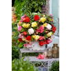 Begonia pachnąca - mix kolorów - 2 szt.