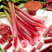 Rabarbar Raspberry Red - malinowy - sadzonka - 1 szt.