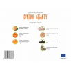 Zestaw rozsadowy 'Dyniowe giganty' - zrób sadzonki z nasion - Box L
