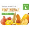 Zestaw rozsadowy 'Dyniowe inspiracje' - zrób sadzonki z nasion - Box L