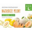 Zestaw rozsadowy 'Najsłodsze melony' - zrób sadzonki z nasion - Box L