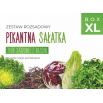 Zestaw rozsadowy 'Pikantna sałatka' - zrób sadzonki z nasion - Box XL
