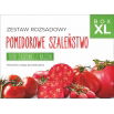 Zestaw rozsadowy 'Pomidorowe Szaleństwo' - zrób sadzonki z nasion - Box XL