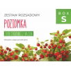 Zestaw rozsadowy 'Poziomka' - zrób sadzonki z nasion - Box S