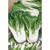 Kapusta chińska Pak-Choi Joi Choi