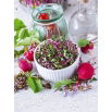 Nasiona na kiełki - Rzodkiewka China Rose