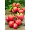 Pomidor Bawole Serce Oxheart - gruntowy Malinowy - 10 gram