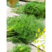 Koper ogrodowy Moravan - 100 gram