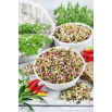 Nasiona na kiełki - Rzodkiewka pikantna mix - 100 gram