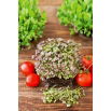 Microgreens - Mizuna czerwona - młode listki o unikalnym smaku