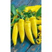 Papryka Hungarian yellow wax hot - ostra węgierska